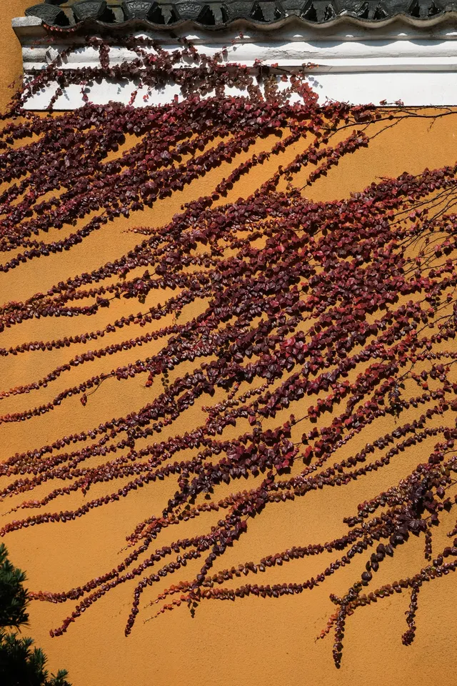 普陀山，來了就好越來越好越好越來