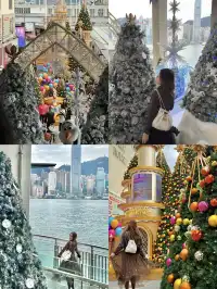 香港8小時拍完漂亮聖誕樹(挑戰成功版!)