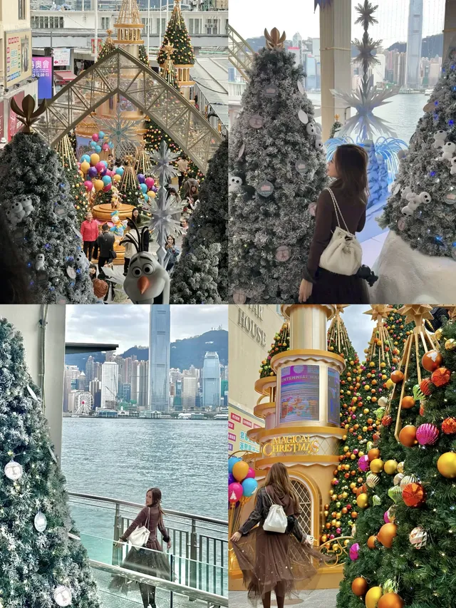 香港8小時拍完漂亮聖誕樹(挑戰成功版!) 香港8小時拍完漂亮聖誕樹(挑戰成功版!)