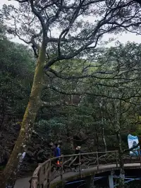 登頂羅浮山