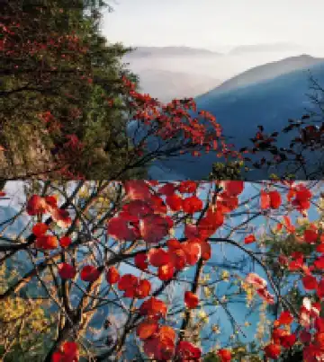 隱山𝟙𝟡|三峽之巔,煙光凝而暮山紫