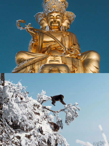 金顶·云海日出 参考图 8
