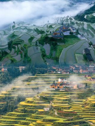 สถานที่ลับที่น่าสนใจในมณฑลกุ้ยโจว: ปราสาทนาข้าวลอยฟ้าสไตล์มิยาซากิ ฮายาโอะ ที่เหมือนจริง