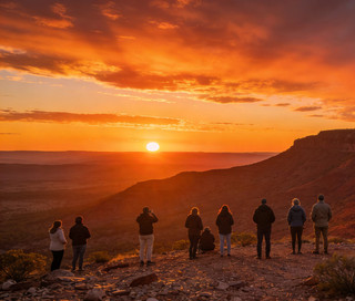 Melbourne Mornington Peninsula｜Red Hill Hidden Healing Experience