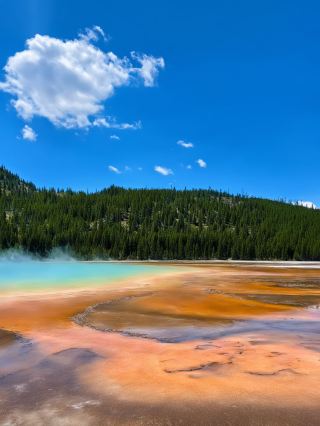 5일 동안 미국을 인당 3천 이상으로 즐기다니 너무 좋지 않나요?