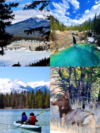 4.21 バンフ・ジャスパー各主要観光地の開放状況報告