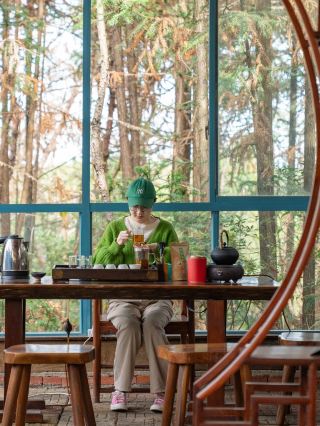 Climb the spring mountains and pick spring tea! Spend a weekend in Changsha as a tea picker for a day~