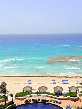 Everyone should visit Cancun, South America – a paradise for pigs to lie down and relax.
