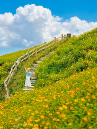 Hangzhou 1h | The best mountain park in Jiangsu, Zhejiang, and Shanghai has arrived