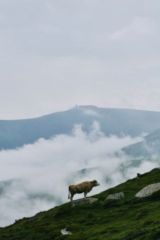 How to hike the Wutai Mountain pilgrimage! Friendly for beginners!