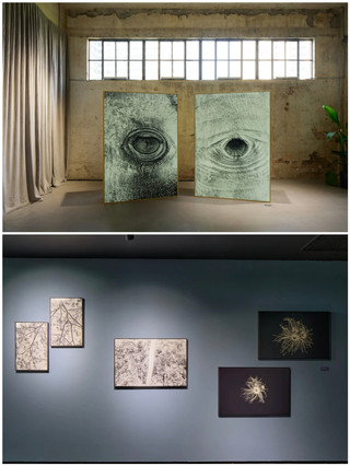 Shanghai's niche new exhibition guide: experience the life cycle of a tree