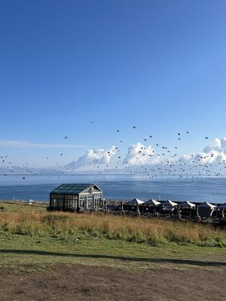 Подробное руководство по исследованию Карамая и других районов за 8 дней. Пожалуйста!