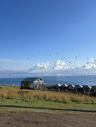 Explore Karamay and more in 8 days with this ultimate guide—no thanks needed