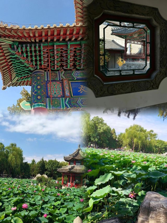 逛保定古蓮花池|住進省心電競酒店太愜意
