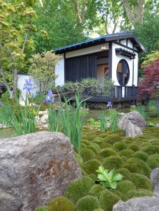 2026 RHS 切爾西花展終極攻略