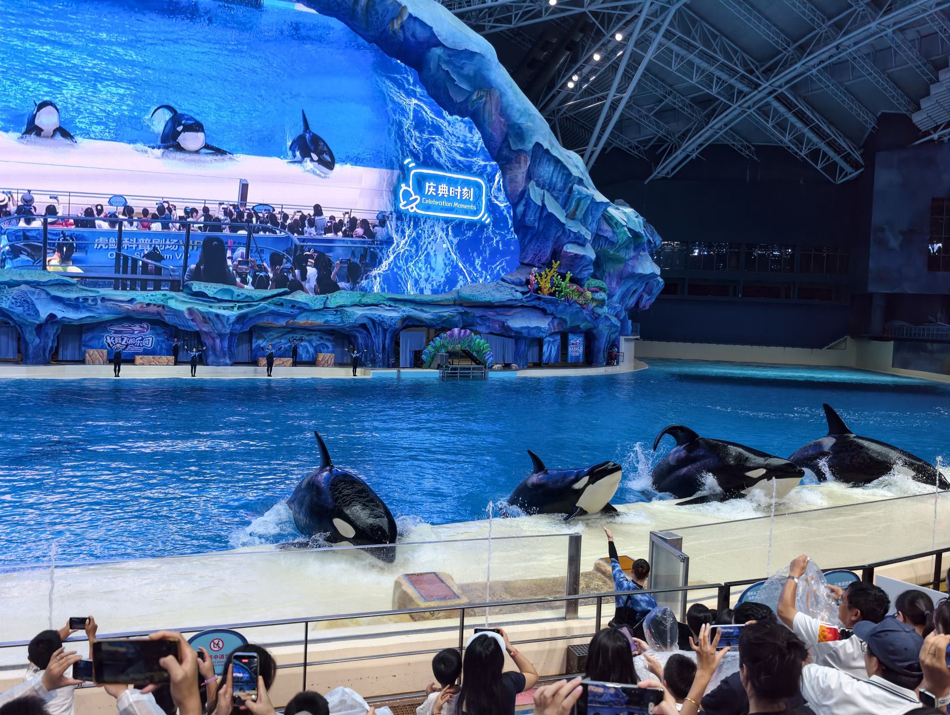 Chimelong member events are so much fun!