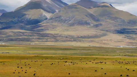Qinghai-Tibet Railway | Every effort is worth it at this moment — traveler post in Amdo County