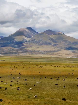 Qinghai-Tibet Railway | Every effort is worth it at this moment