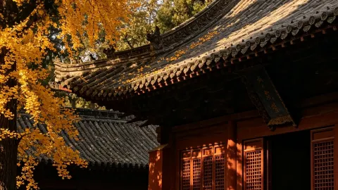 หนานหยางช่วงฤดูใบไม้ร่วงคือที่สุด! เซฟลิสต์ที่เที่ยวนี้ไว้เลย — traveler post in ซินเย่อ