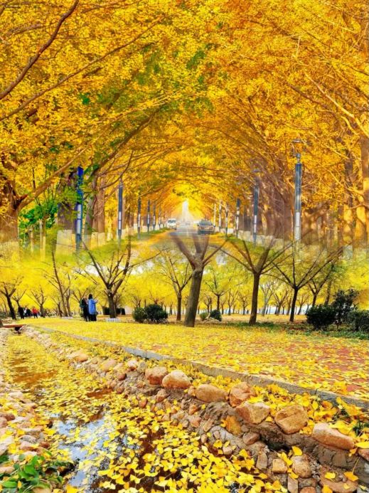 Explore Linyi with the trade fair, packed with essentials.