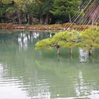 【石川県金沢市】日本庭園🌳日本の文化に触れる