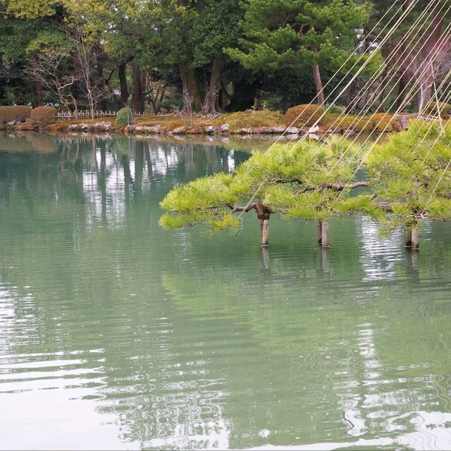 【石川県金沢市】日本庭園🌳日本の文化に触れる