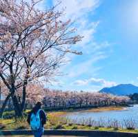 ทะเลสาบคาวากูชิโกะ (Lake Kawaguchiko)​