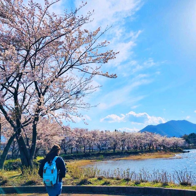 ทะเลสาบคาวากูชิโกะ (Lake Kawaguchiko)​
