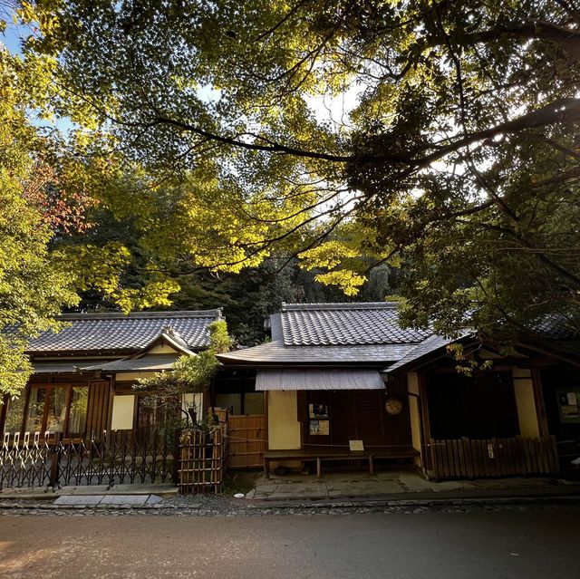 Day trip to Arashiyama- Japan