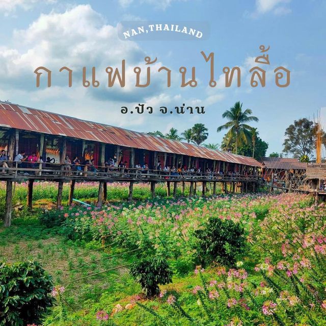 หนาวนี้ แวะ จิบกาแฟ ชมวิวที่ บ้านไทลื้อ 