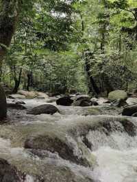 Best places for picnic near KL area