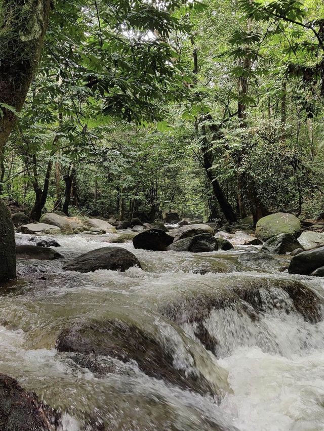 Best places for picnic near KL area