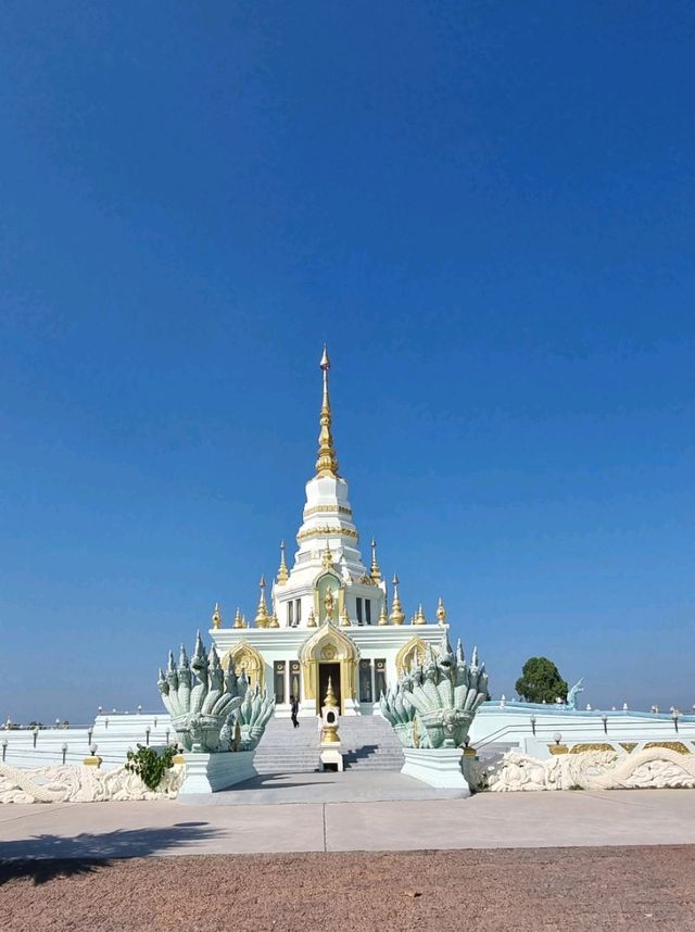 สายมู สายพญานาค ต้องมา