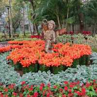 春暖花開~百花齊放~花團錦簇~爭相競艷