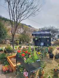 식물복합공간 청도 신상카페 소우모우🌳
