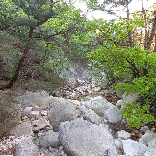 수도권 당일치기 계곡과 폭포 송추계곡