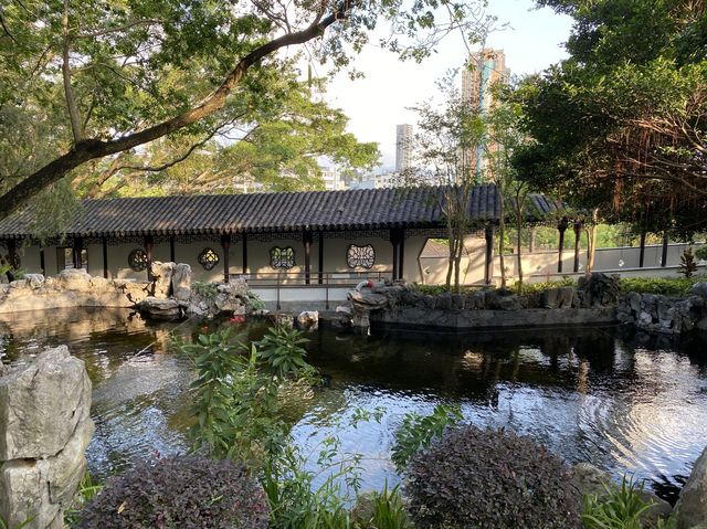 香港獨有的九龍寨城公園