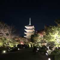 京都・秋のライトアップ東寺