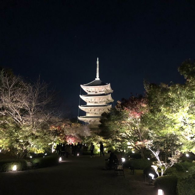京都・秋のライトアップ東寺