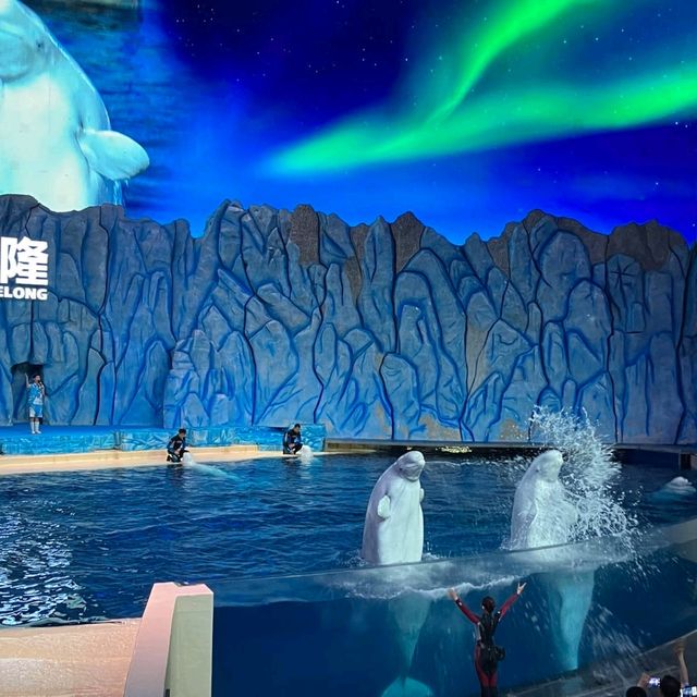 珠海長隆海洋王國之海洋動物