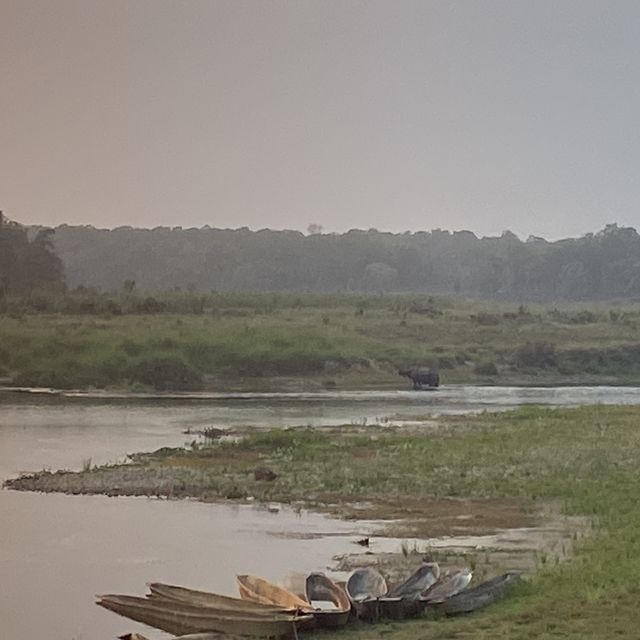 Chitwan National Park