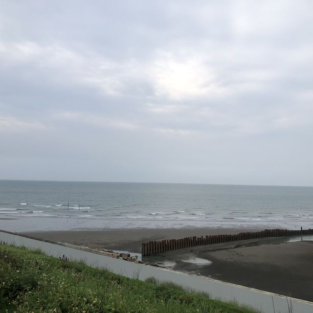 望海步道草地區