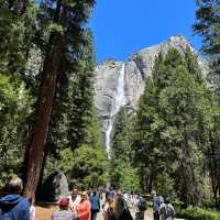 優勝美地國家公園（Yosemite National Park）