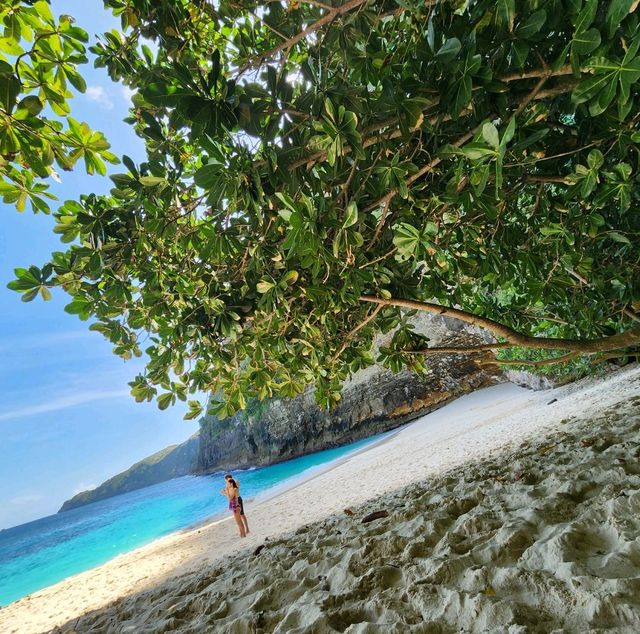 ❤️Kelingking Beach,Nusa Penida @Bali