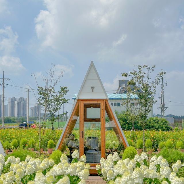 유럽수국 가득한 토성마을의 정원🍃💚
