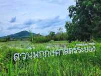 สวนพฤกษศาสตร์ ระยอง พื้นที่ป่าชุ่มน้ำภาคตะวันออก