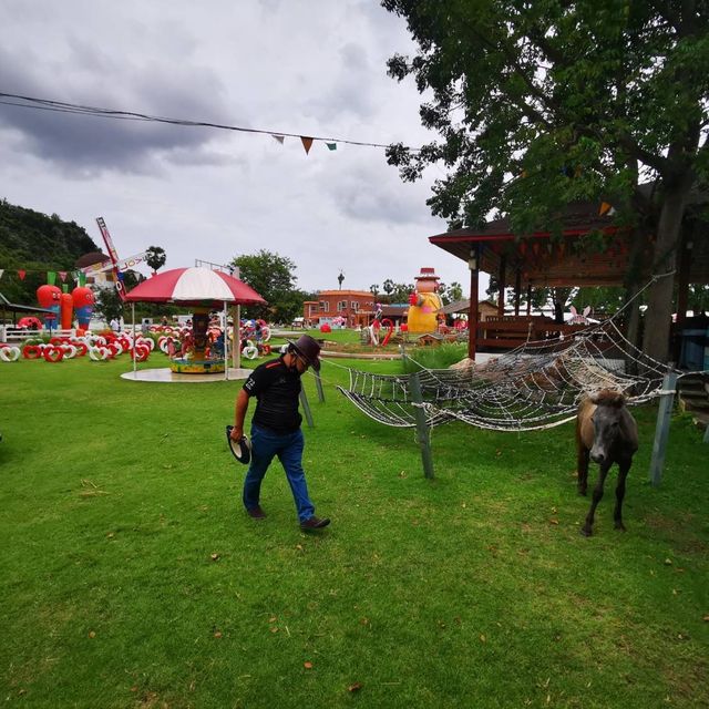 Swiss Sheep Farm ฟาร์มแกะน่ารักสไตล์สวิสเซอร์แลนด์