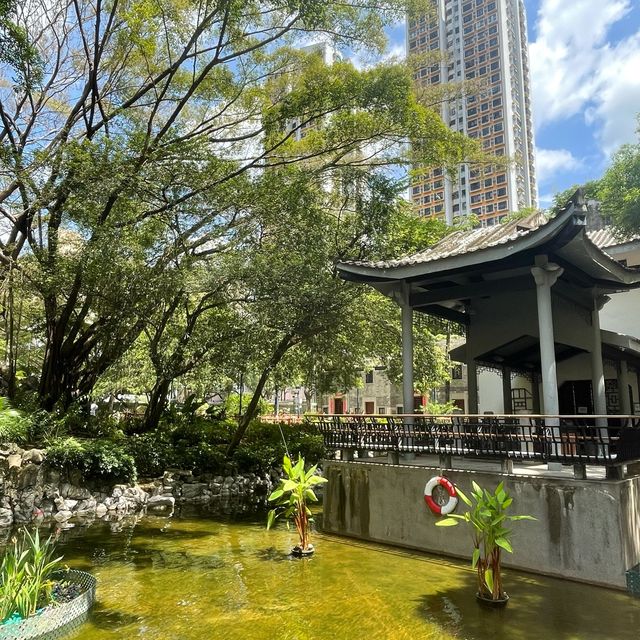 🌳荃灣區·古樸後花園🌳 🌳荃灣區·古樸後花園🌳