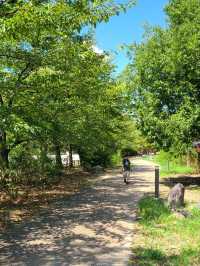 【京都】梅小路公園とすざくゆめ広場
