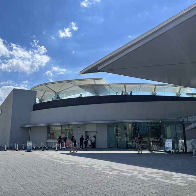 【香川】四国水族館🐬瀬戸内海の生き物に出会える